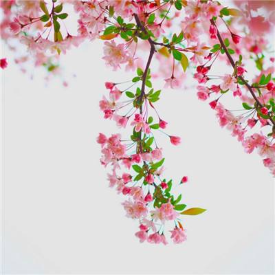 鬼畜战士物语手游下载
